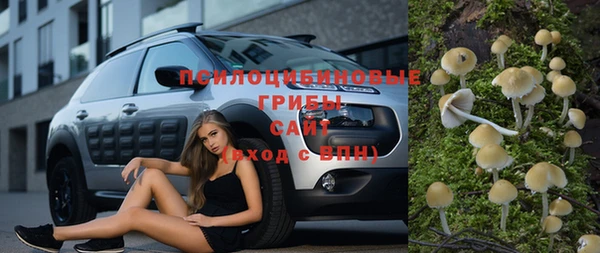 дживик Алексин